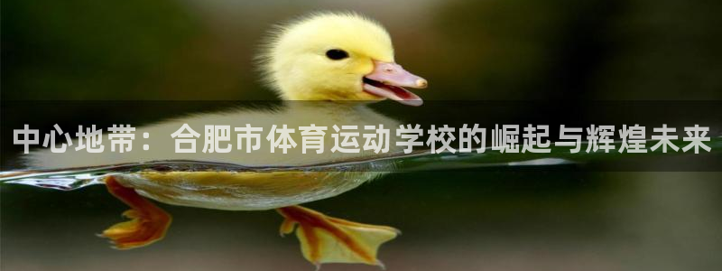 公海赌赌船官方正版app神州：中心地带：合肥市体育运动学校的