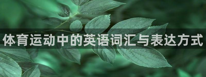 公海赌赌船官方集团官网
