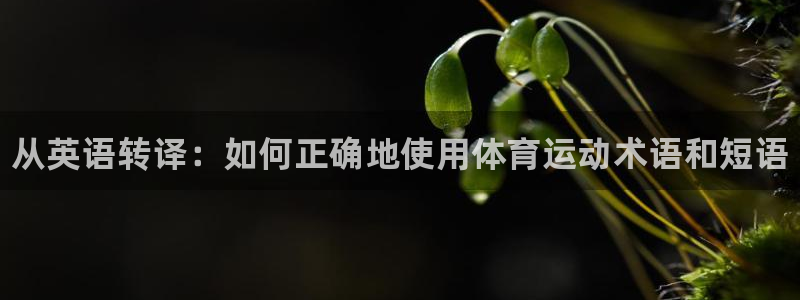 公海赌赌船官方正版app娱乐40996：从英语转译：