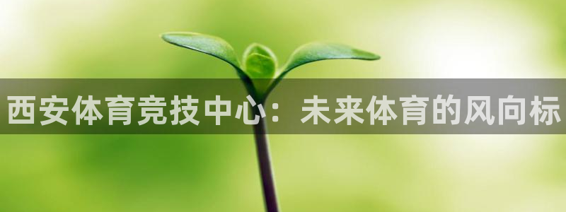 公海赌赌船官方正版app科技