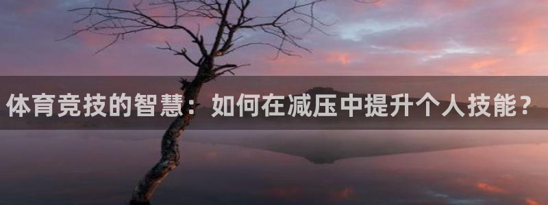 公海赌赌船官网下载招商电话是多少啊：体育竞技的智慧：