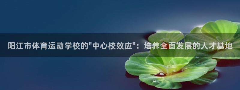 公海赌赌船官方集团官网：阳江市体育运动学校的\