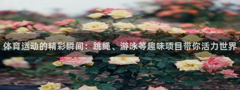 公海赌赌船官网下载招商电话是多少号码：体育运动的精彩瞬间：跳