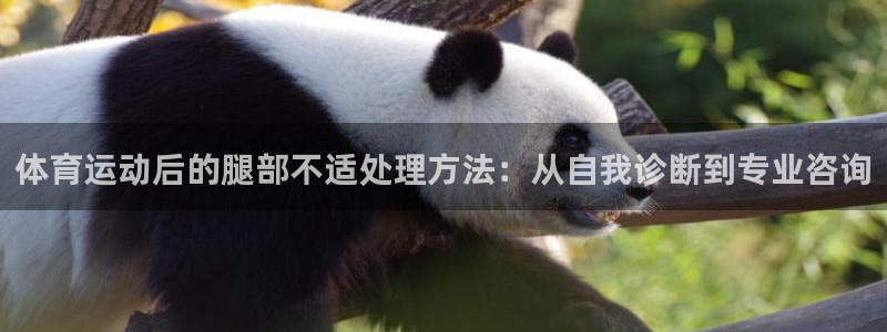 公海赌赌船官网下载招商：体育运动后的腿部不适处理方法