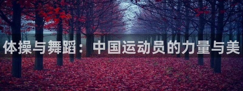 公海赌赌船官网下载招商电话号码：体操与舞蹈：中国运动员的力量