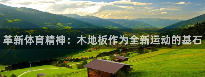 公海赌赌船官方正版app集团logo：革新体育精神：木地板作