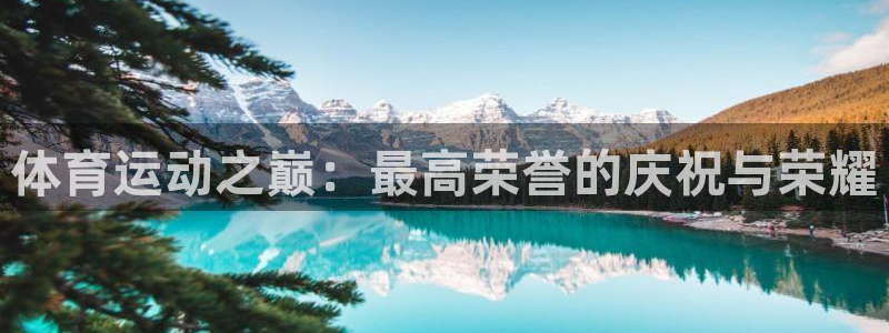 公海赌赌船官方正版app新能源：体育运动之巅：最高荣誉的庆祝